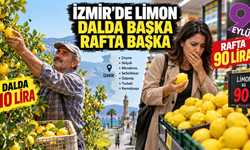İzmir’de limonun fiyatı dalda başla, rafta bambaşka