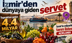 İzmir’in altın ürünü zeytin dünyaya açılıyor: Tarımdan 4,4 milyar dolarlık ihracat