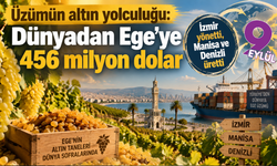 İzmir’den dünyaya uzanan üzüm ekonomisi: Ege bağlarından 456 milyon dolarlık ihracat