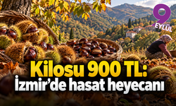 Kestanenin kilosu 900 liraya çıktı: Gözler İzmir ve Aydın'da