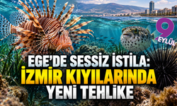 Ege'de sessiz istila: İzmir kıyılarında yeni tehlike