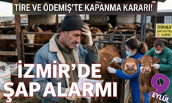 İzmir’de şap alarmı: Ödemiş ve Tire'de hayvan pazarları kapatıldı