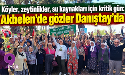 Köyler, zeytinlikler, su kaynakları için kritik gün: Akbelen'de gözler Danıştay’da