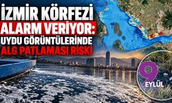 İzmir Körfezi alarm veriyor: Uydu görüntülerinde alg patlaması riski