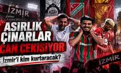 Asırlık çınarlar can çekişiyor: İzmir’i kim kurtaracak?