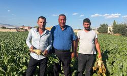 Borç 1,5 trilyona dayandı: Çiftçi tarladan bankaya koşuyor
