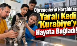 Öğrencilerin Harçlıkları Yaralı Kedi 'Kurabiye'yi Hayata Bağladı!