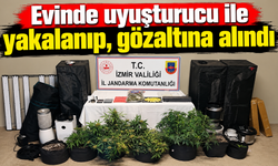 Mavişehir'de uyuşturucu serasına jandarma darbesi