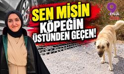 SEN MİSİN KÖPEĞİN ÜSTÜNDEN GEÇEN!