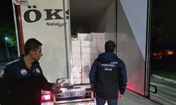 Yasadışı avlanan deniz canlılarına el konuldu
