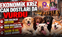 Ekonomik kriz can dostları da vurdu!