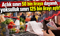 Açlık sınırı 50 bin liraya dayandı, yoksulluk sınırı 125 bin lirayı aştı!