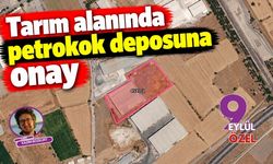 Tarım alanında petrokok deposuna onay