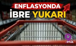 Enflasyonda ibre yukarı