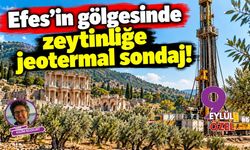 Efes'in gölgesinde zeytinliğe jeotermal sondaj!