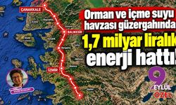 Orman ve içme suyu havzası güzergahında: 1,7 milyar liralık enerji hattı!