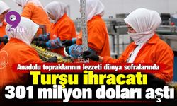 Turşu ihracatı 301 milyon doları aştı