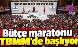 Bütçe maratonu TBMM'de başlıyor