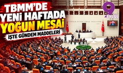 TBMM'de yeni haftada yoğun mesai: İşte gündem maddeleri