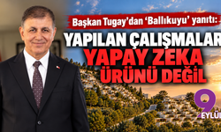 Başkan Tugay'dan 'Ballıkuyu' yanıtı: Yapılan çalışmalar yapay zeka ürünü değil