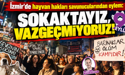 İzmir’de hayvan hakları savunucularından eylem: Sokaktayız, vazgeçmiyoruz!