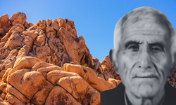 Kahreden son; Ölü bulundu