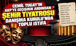Şehir Tiyatrosu Danışma Kurulu’nda toplu istifa!