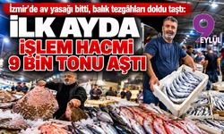 İzmir'de av yasağı bitti, balık tezgâhları doldu taştı: İlk ayda işlem hacmi 9 bin tonu aştı