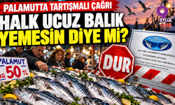 Halk ucuz balık yemesin diye avı durdurma çağrısı!