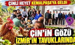 Çin'den İzmir'e tavukçuluk çıkarması!