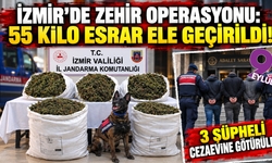 İzmir'de zehir operasyonu: 55 kilo esrar ele geçirildi!