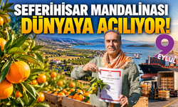 Seferihisar mandalinası dünyaya açılıyor!