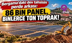 Bergama'daki dev tahsisin perde arkası: 86 bin panel, binlerce ton toprak!