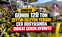 İzmir'de günde 120 ton zeytin işleyen tesisin ÇED dosyasında dikkat çeken ayrıntı!