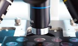 SPARCS Teknolojisi Hücre Sırlarını Çözüyor