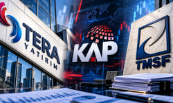 TERA'ya TMSF'den kayyum yönetimi!