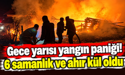 Gece yarısı yangın paniği! 6 samanlık ve ahır kül oldu