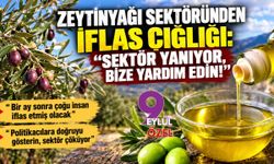Zeytinyağı sektöründen iflas çığlığı: “Sektör yanıyor, bize yardım edin!”