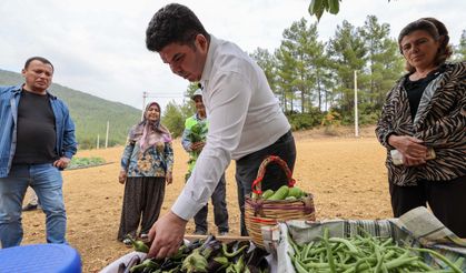 Buca’da Belediye-Kooperatif işbirliği, tarımı canlandırdı