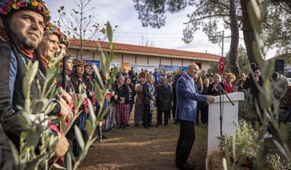 Zeytine saygıda kusur etmemek gerek