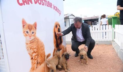 Bornova Belediyesi can dostlarına sahip çıkıyor