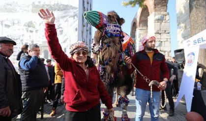 Efes Selçuk'ta deve güreşi heyecanı