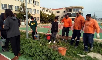 Çeşme'de okul bahçeleri meyve bahçesine dönüşüyor