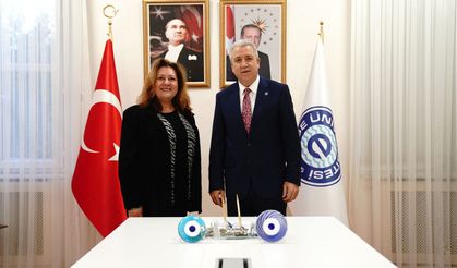 Mikrorobotların tıpta kullanımının önünü açacak proje