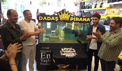 Piranaya doğum günü yaptılar cağ kebabı ikram ettiler