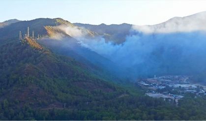 Marmaris'te çıkan orman yangını havadan ve karadan müdahaleyle söndürüldü