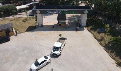 Cumalıkızık Orman Parkı açıldı