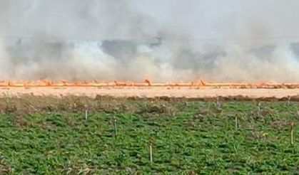 Gaziantep’te 10 bin dönüm anız yandı