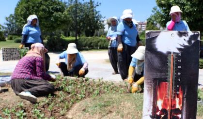 Kadın peyzaj işçilerinin 50 derece sıcaklıkta zorlu mesaisi