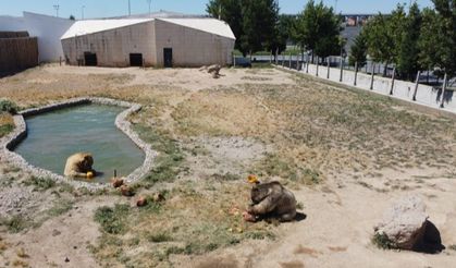 Anadolu Harikalar Diyarı'nda serinleten uygulama